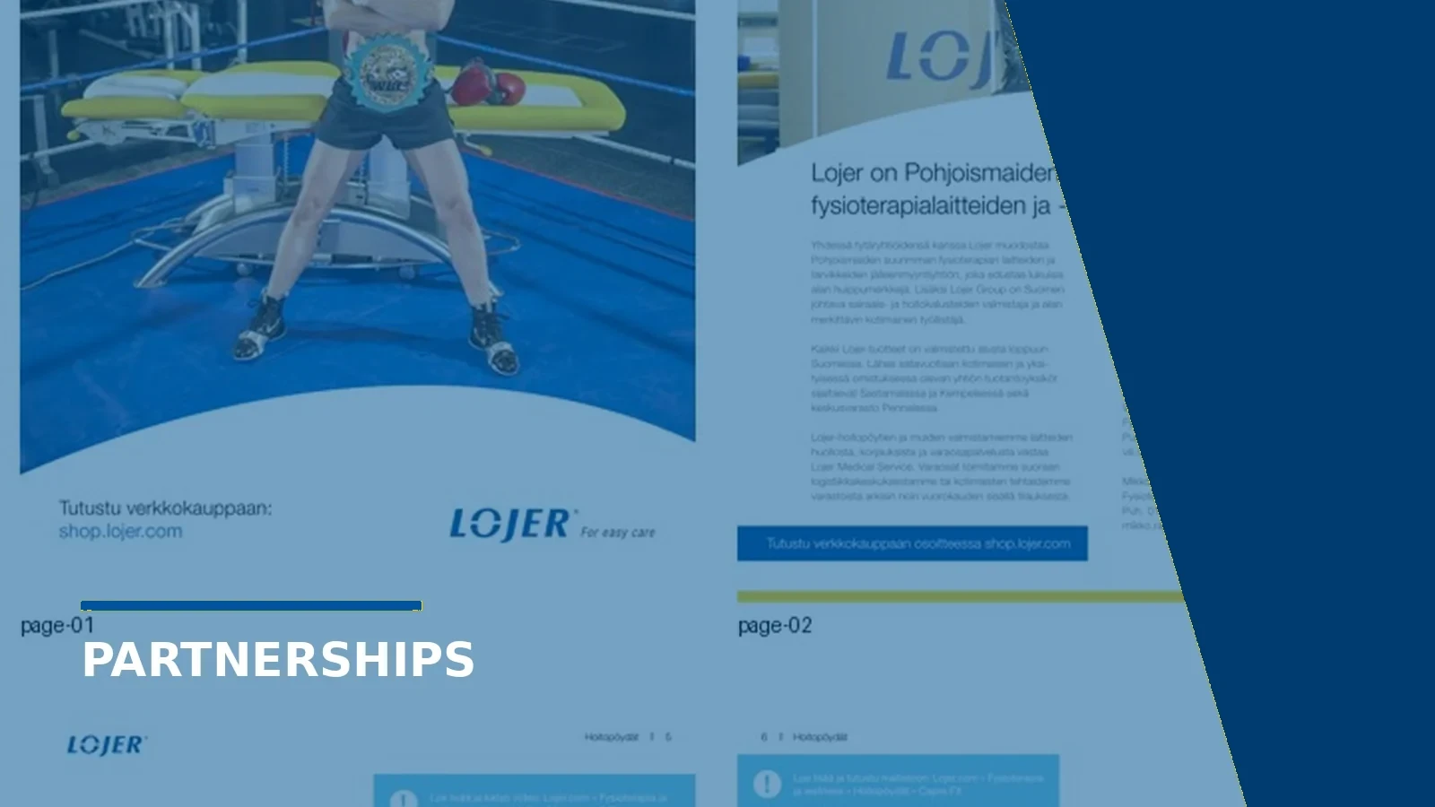 Lojer partnerships visual